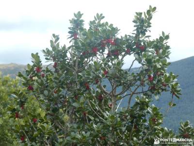 Colgadizos - Sierra de Somosierra; las lagunas de ruidera nacimiento del rio cuervo irati la hiruela